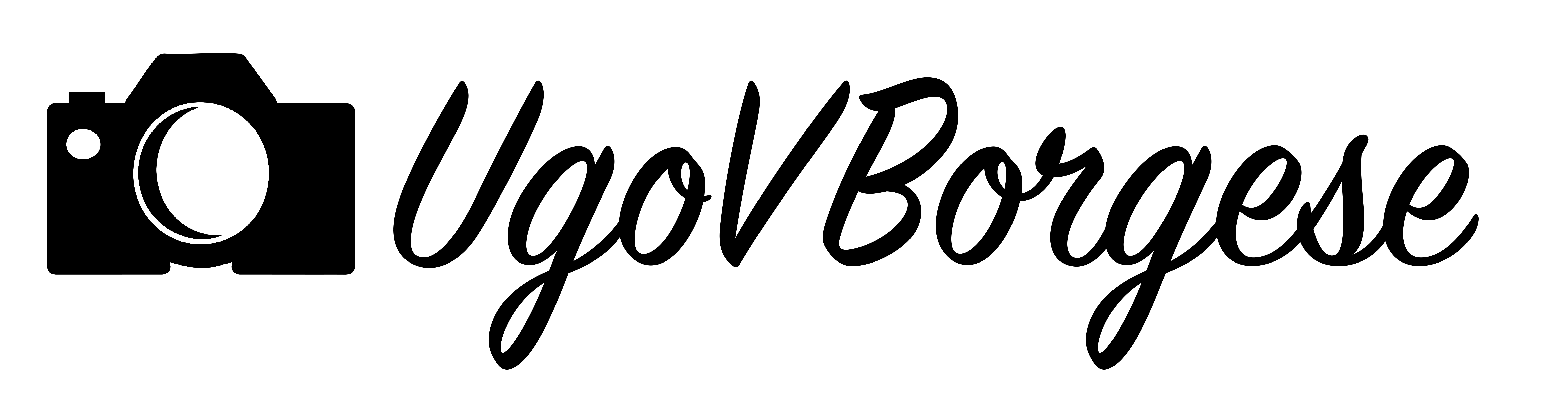 Logo de Ugo Verzi Borgese